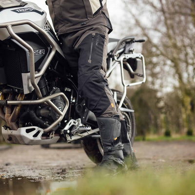 Borederlands Laminated In Boot Trouser Granite